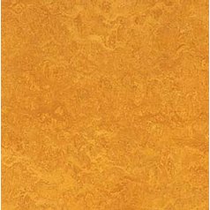 Marmoleum Fresco  3125 Golden sunset tl. 2mm (cena za m2)