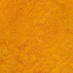 Marmoleum Fresco 3226 Marigold tl. 2,5mm (cena za m2)
