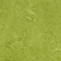 Marmoleum Fresco 3247 Green  tl. 2,5mm (cena za m2)